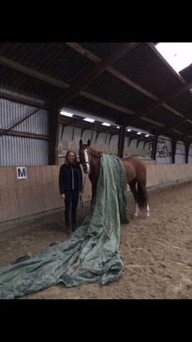Billede