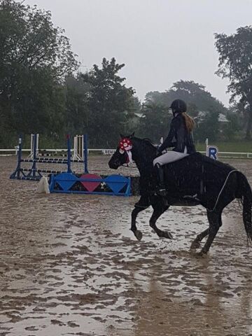 Billede