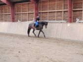 Billede