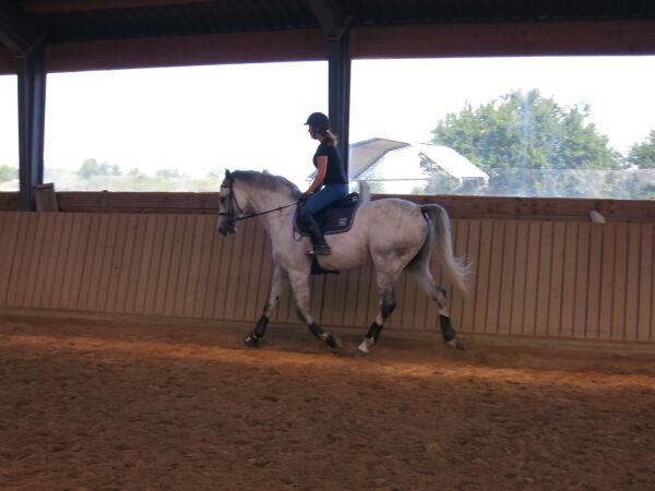 Billede