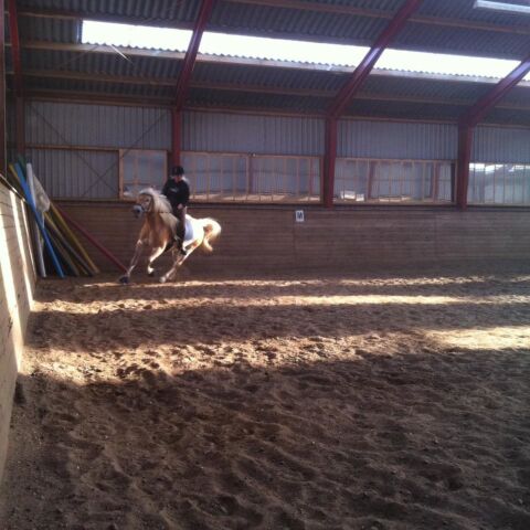 Billede