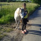 Billede