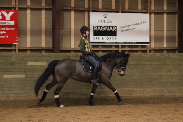 Billede
