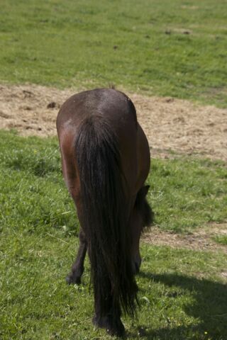 Billede