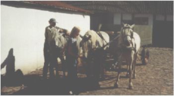Billede