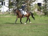 Billede