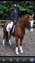Billede