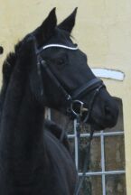 Billede