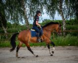 Billede