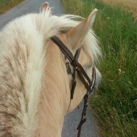 Billede