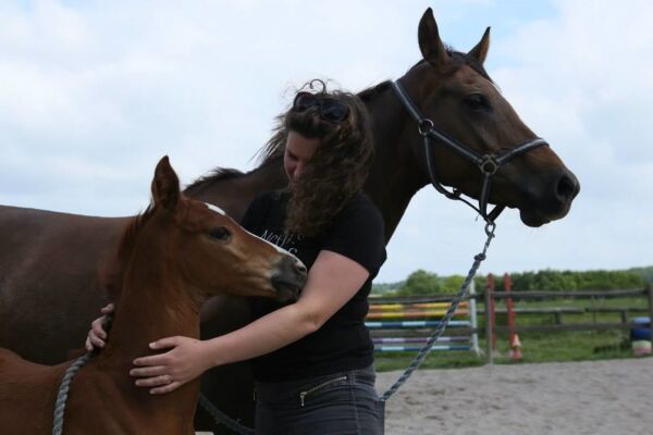 Billede