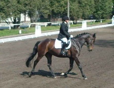 Billede