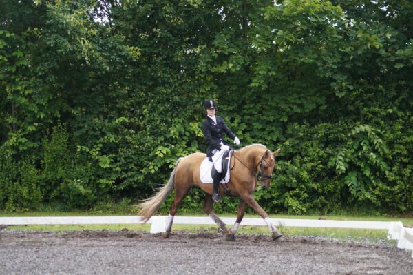 Billede