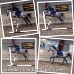 Billede