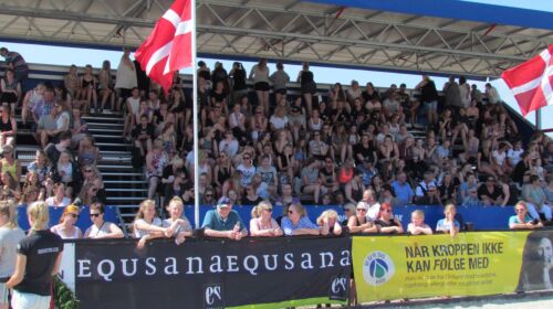 Billede