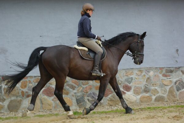 Billede