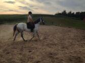 Billede