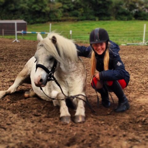 Billede