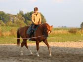 Billede