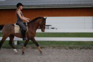 Billede
