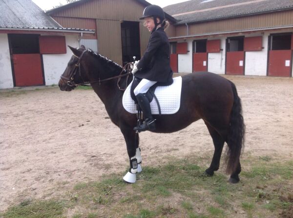 Billede