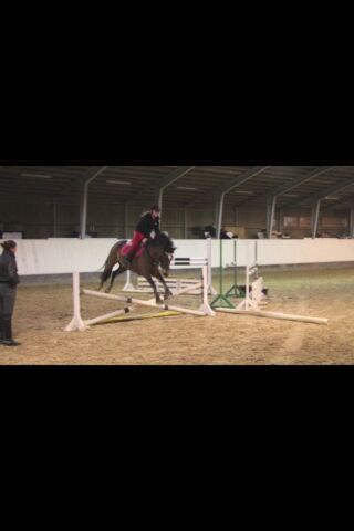 Billede