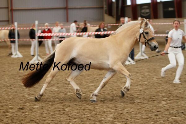 Billede