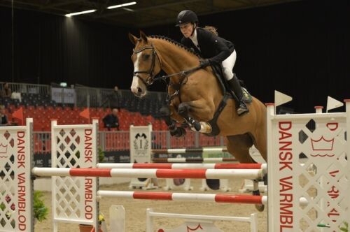 Billede