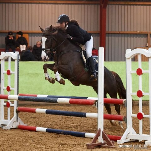 Billede