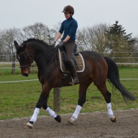 Billede