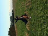 Billede