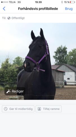 Billede