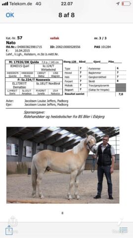 Billede