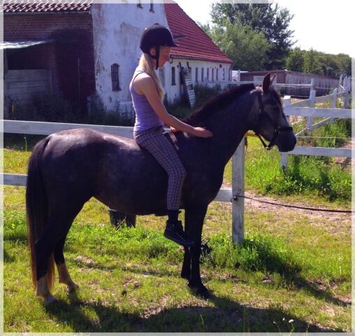 Billede