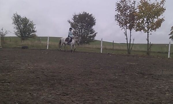 Billede