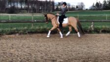 Billede