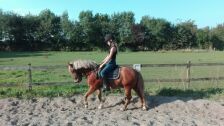 Billede