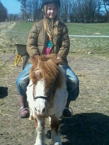 Billede