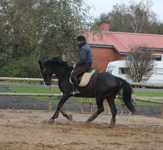 Billede