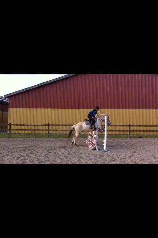 Billede