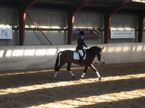 Billede