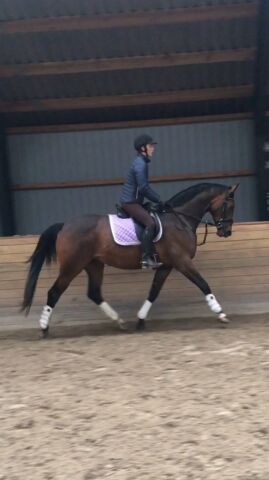 Billede