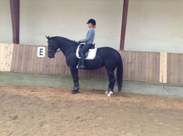 Billede