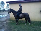 Billede