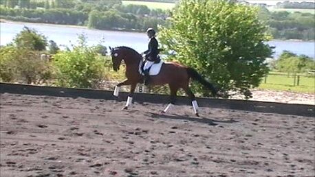 Billede