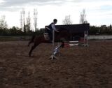 Billede