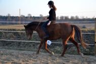 Billede