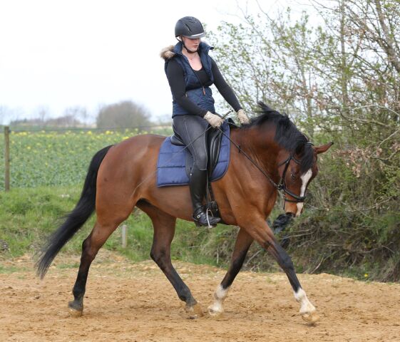Billede