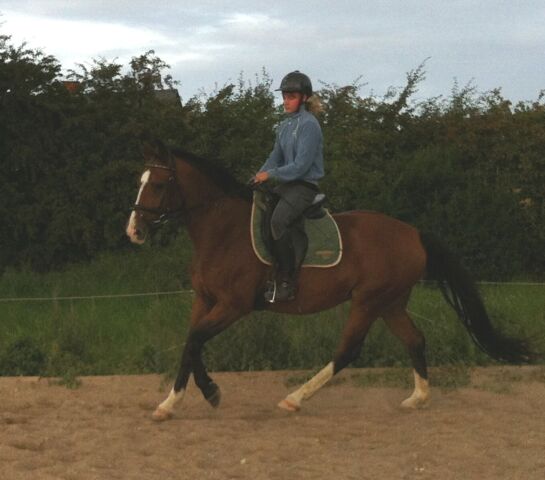 Billede