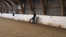 Billede